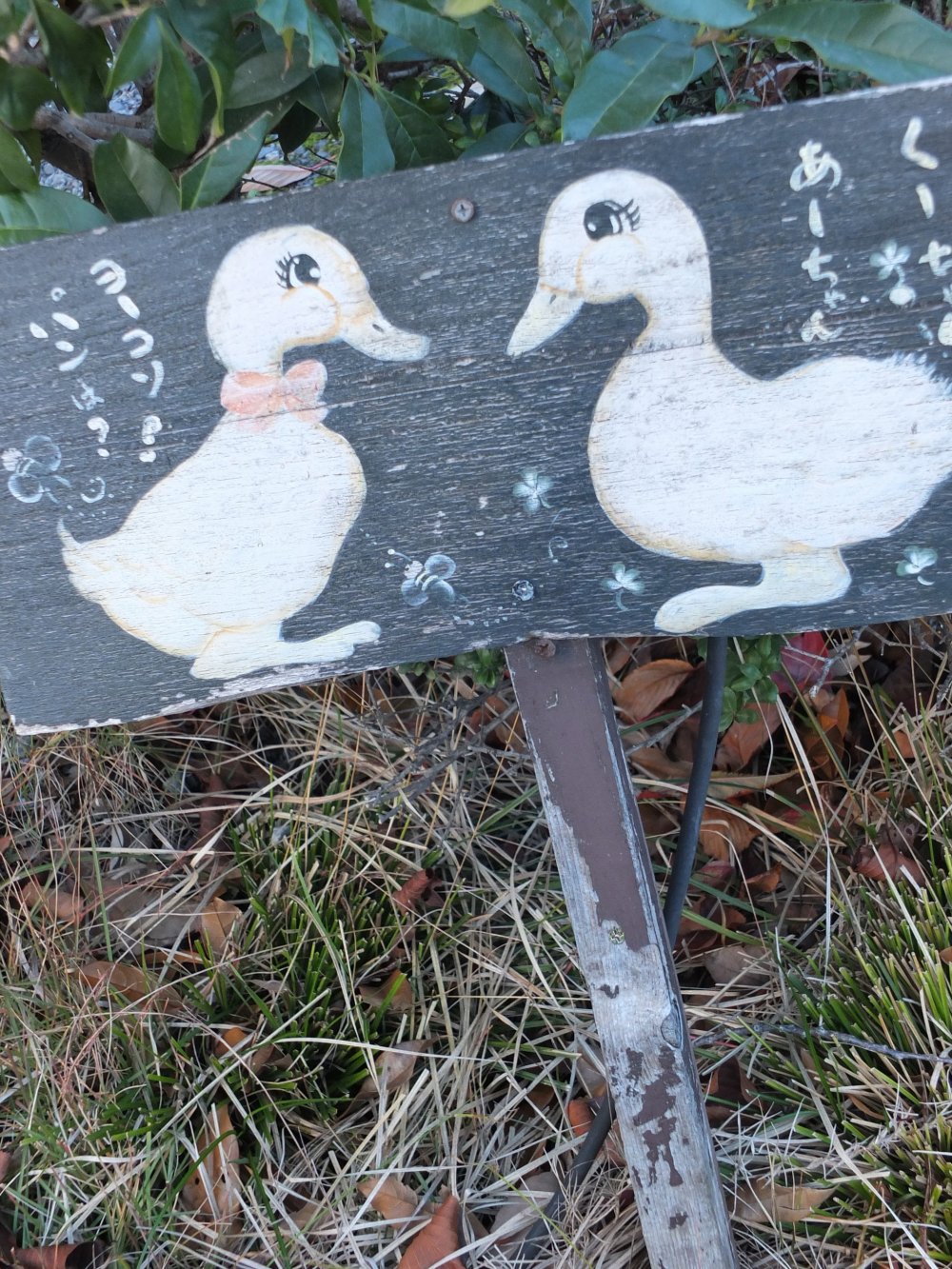 This garden has ducks!