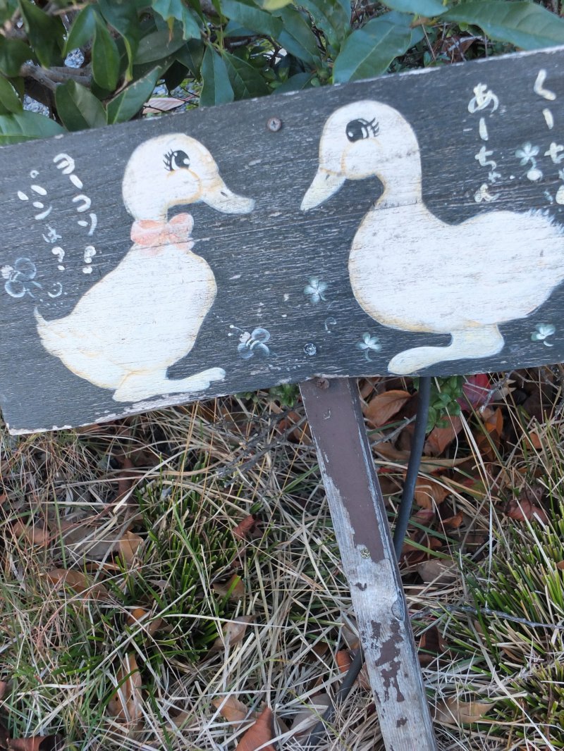 <p>This garden has ducks!</p>
