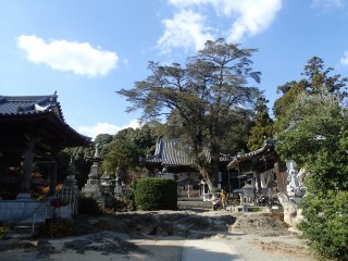 The temple&rsquo;s rocky uneven grounds are unique to the pilgrimage. It is said that if a diabetic prays and drinks the boiled leaves of the yew tree beside the Main Hall, they will be cured.