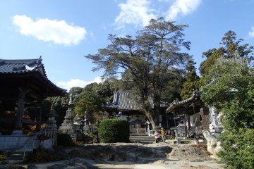 <p>The temple&rsquo;s rocky uneven grounds are unique to the pilgrimage. It is said that if a diabetic prays and drinks the boiled leaves of the yew tree beside the Main Hall, they will be cured.</p>