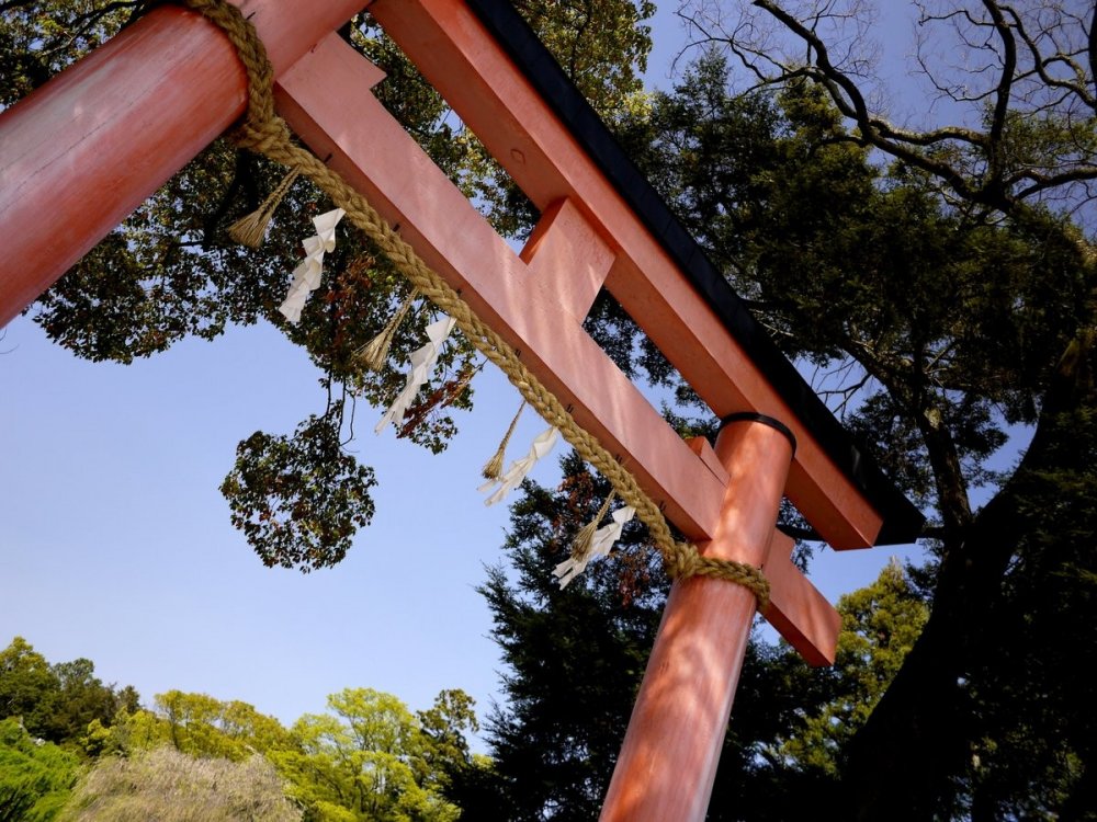 A large torii stands at the entrance to Kamigamo Shrine