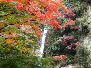 布引の滝の一つ、秋の色彩に包まれて非常に美しい。ここで腰を下ろして少し休憩しよう。この先にはきつい坂が待っている