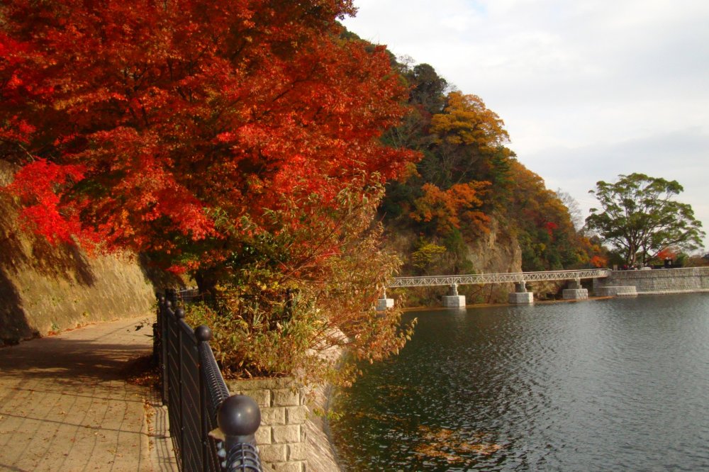 布引貯水池沿いの秋の色