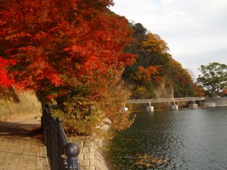 Autumn colors along&nbsp;the Nunobiki Reservoir