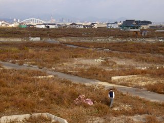 The area around Natori farmers market was completely obliterated during the 2011 earthquake and tsunami.