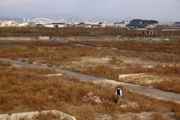 <p>The area around Natori farmers market was completely obliterated during the 2011 earthquake and tsunami.</p>