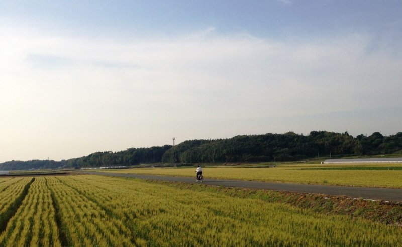 <p>Cycle into the open fields and blue skies of Kumamoto</p>