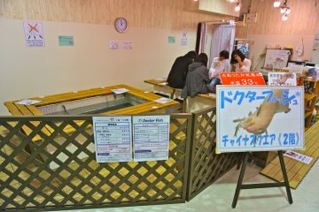 <p>At Doctor Fish there are two large foot baths that can accommodate a total of 16 visitors</p>
