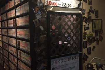 Media (and Cat) Cafe Popeye, Numazu [Closed]