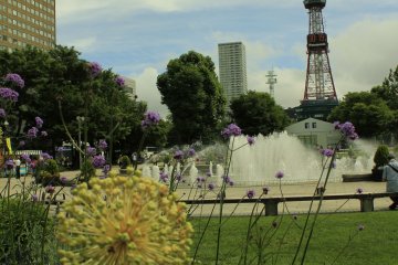 <p>Odori Park ในวันที่ไม่มีเทศกาลใดๆ</p>