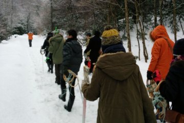 <p>Our trekking continues through the snowy landscape.&nbsp;</p>
