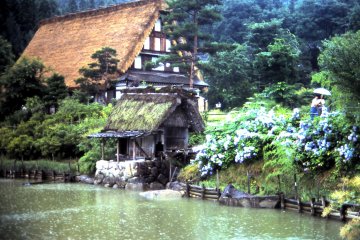 <p>The traditional farmhouse and purple-blue flowers of ajisai or hydrangea</p>