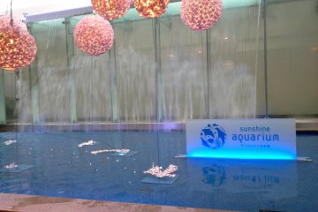 <p>ทางเข้า&nbsp;Sunshine International Aquarium</p>