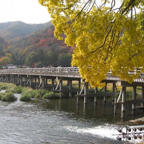 Sagano District in Kyoto