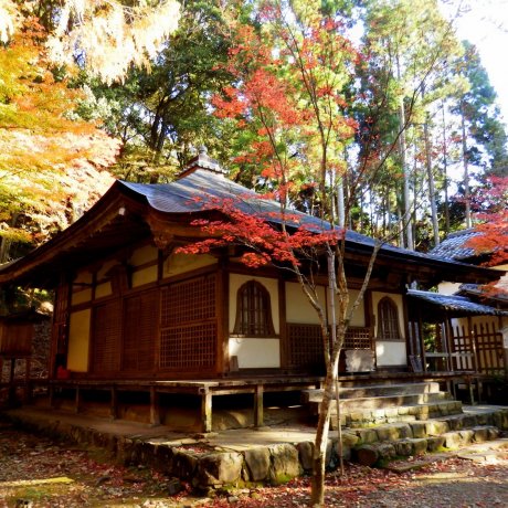 Temple Kosanji