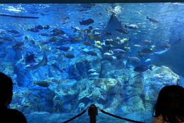  Aquarium Umi-Tamago