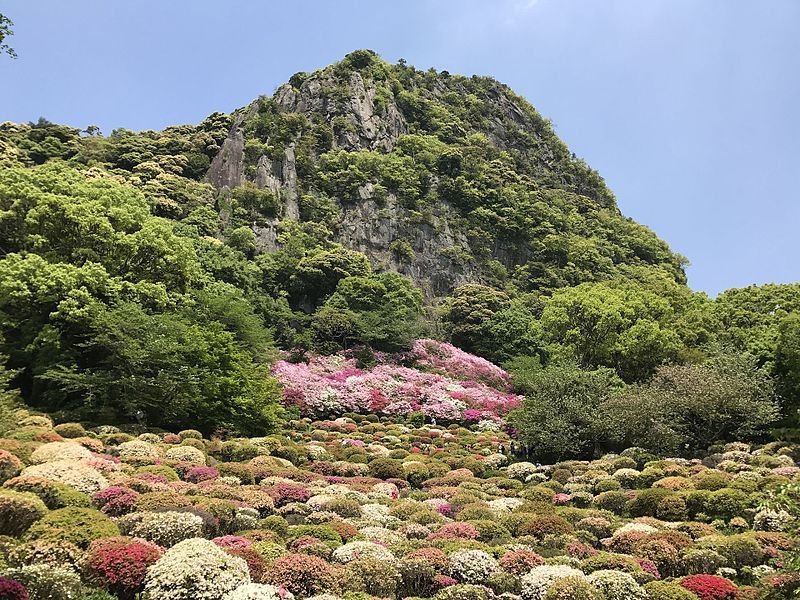 Mifuneyama Rakuen in spring