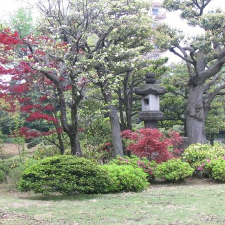 Kiyosumi Teien Garden