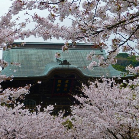 Kenchoji Temple