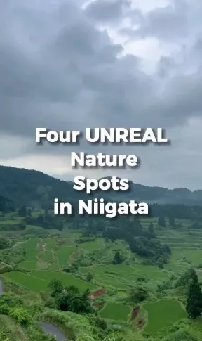 4 Unreal Nature Spots in Niigata