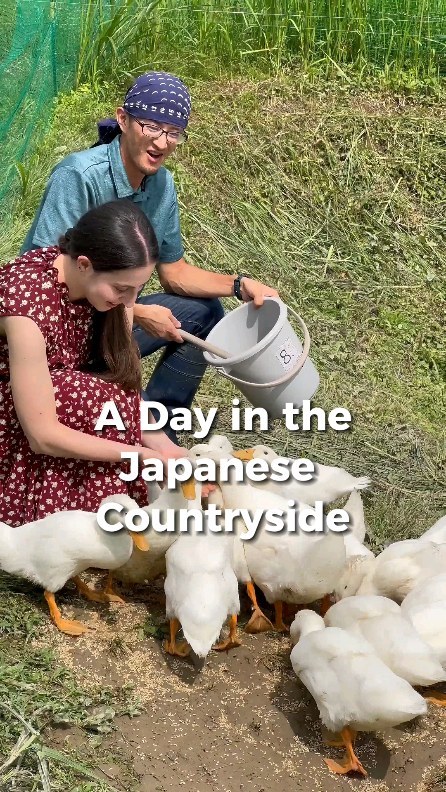 A Day in the Japanese Countryside